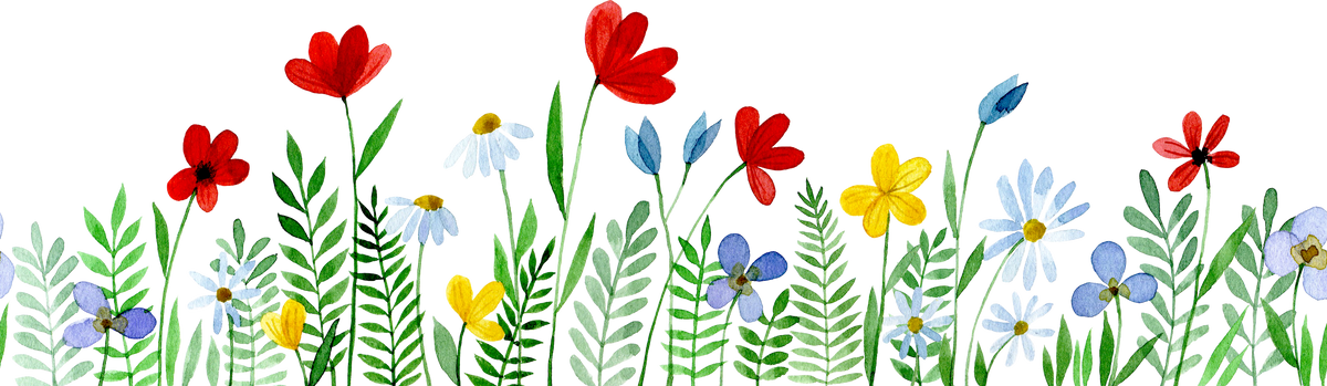 watercolor seamless border, frame with wildflowers. cute floral print with red and blue flowers. simple leaves and flowers